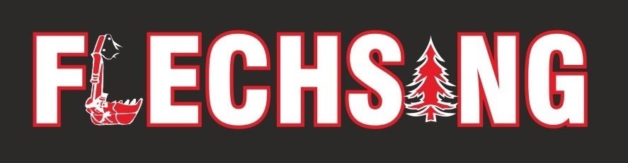 logo color
